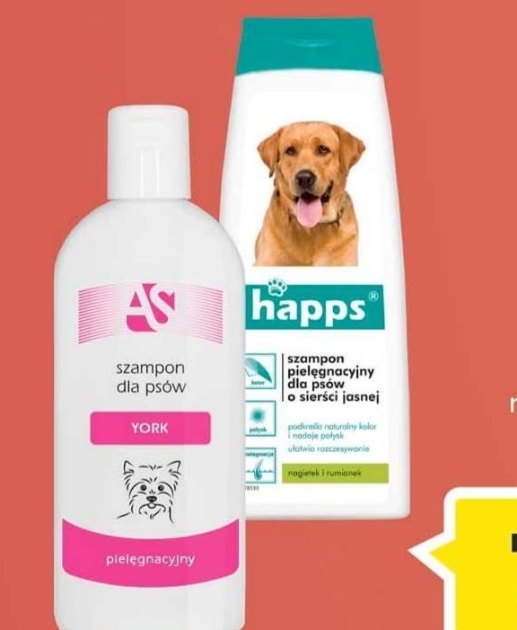 szampon dla psa carrefour