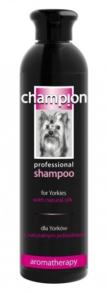 champion szampon dla