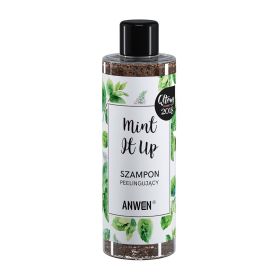 anwen odświeżający szampon mint it up 200 ml