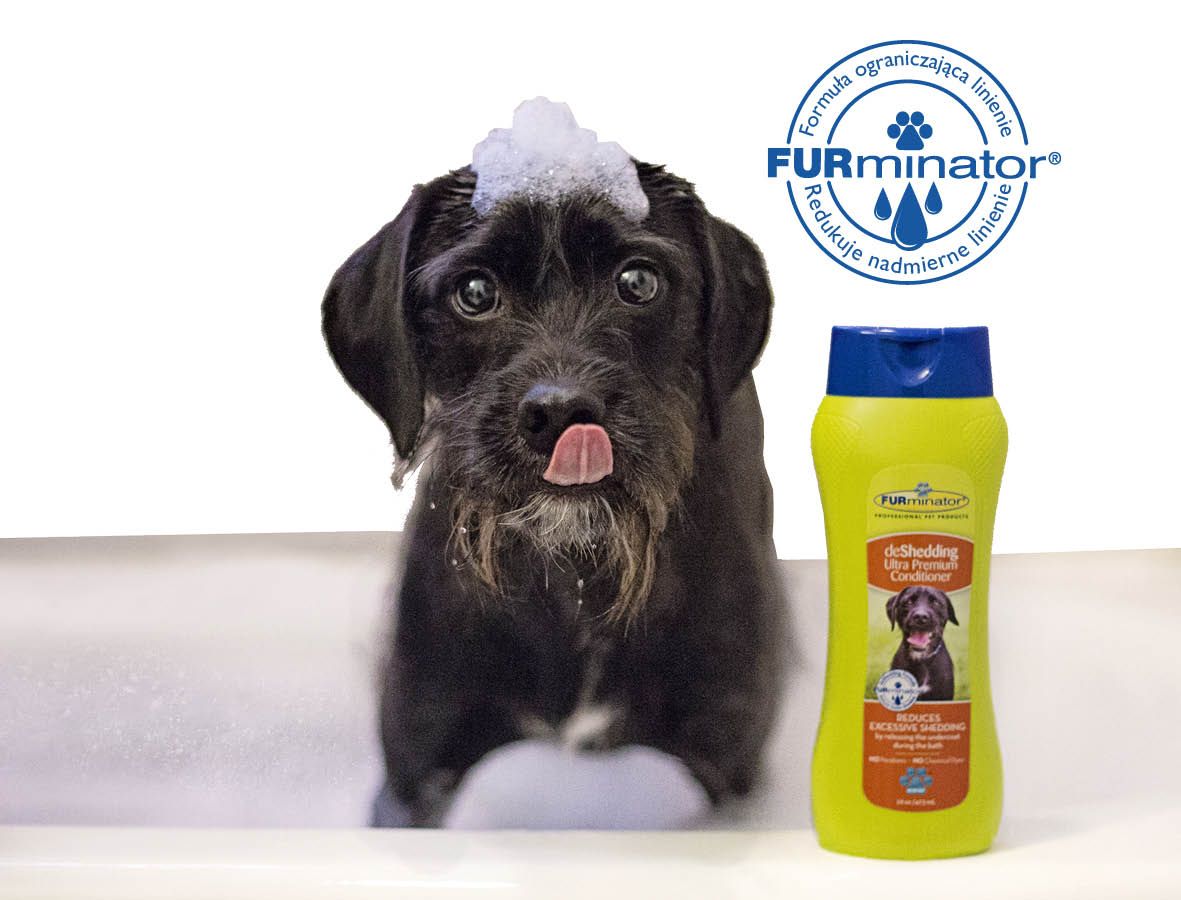 furminator szampon labrador opinie