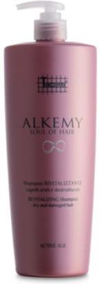 technique alkemy soul of hair szampon