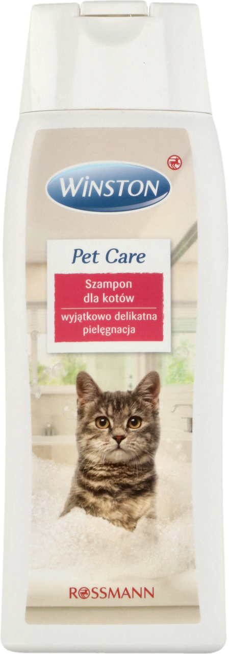 szampon dla małego kota