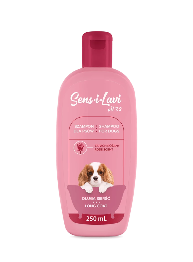 szampon z butelka z kością dla psa