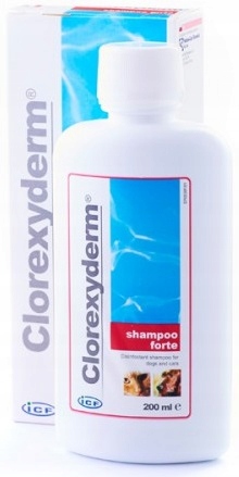 szampon leczniczy dla psa cloreksyderm